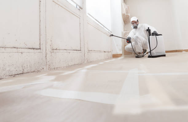 24/7 Emergency Black Mold Removal experts in La Plata, MD