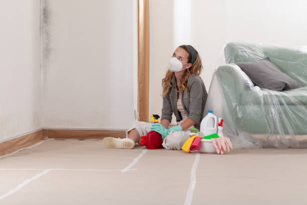 Reliable Black Mold Removal contractor in La Plata, MD by WQB Mold Removal